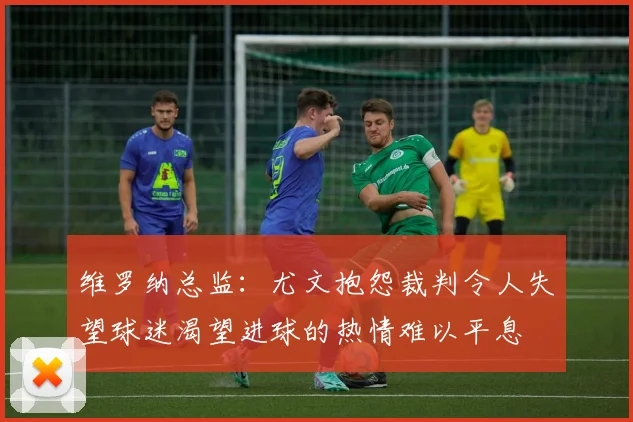 维罗纳总监：尤文抱怨裁判令人失望球迷渴望进球的热情难以平息